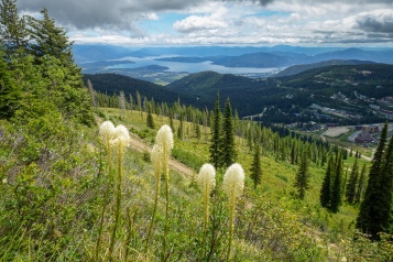 Lake Pend Oreille with Beargrass