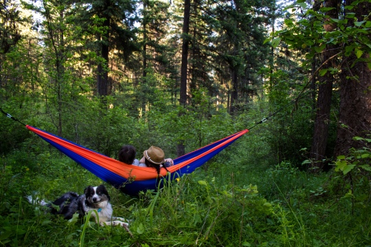 Fox Outfitters Hammock